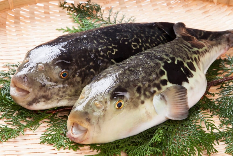 �ӂ邳�Ɣ[�� ���� �Ƃ�ӂ� �{���T�C�g